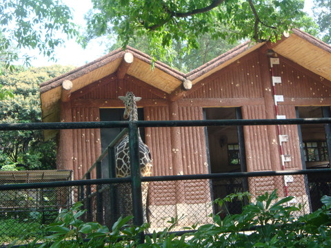 深圳西麗野生動物園