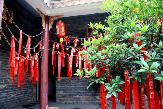 貴州天臺(tái)山旅游