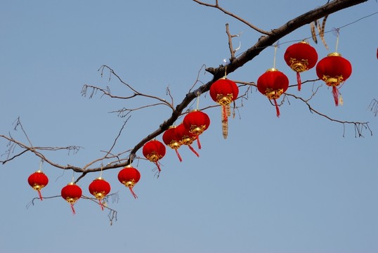 紅燈籠