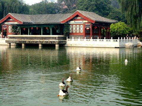 大觀園