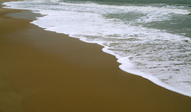 海灘浪莎