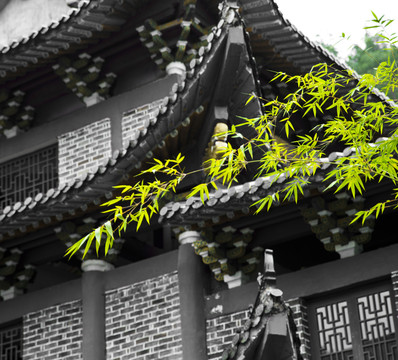 竹 古建筑