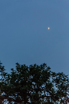 夜晚月亮盛夏