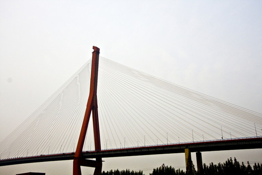 上海 浦東 楊浦大橋 城市建筑