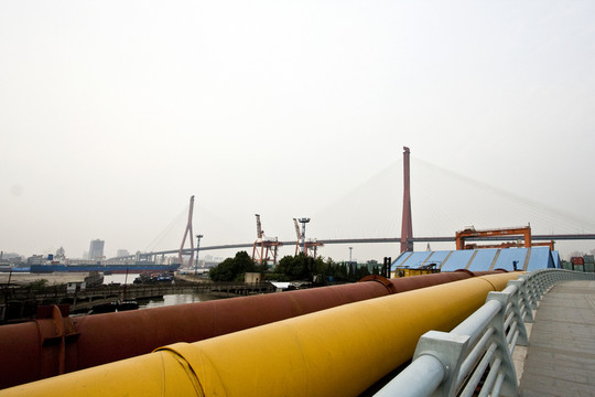 上海 浦東 楊浦大橋 城市建筑