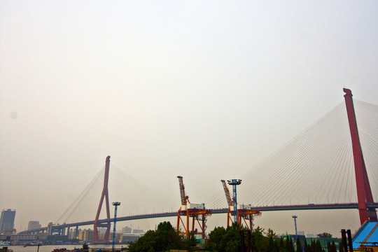 上海 浦東 楊浦大橋 城市建筑