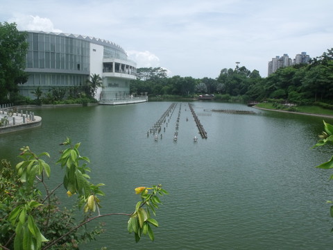 一池波浪