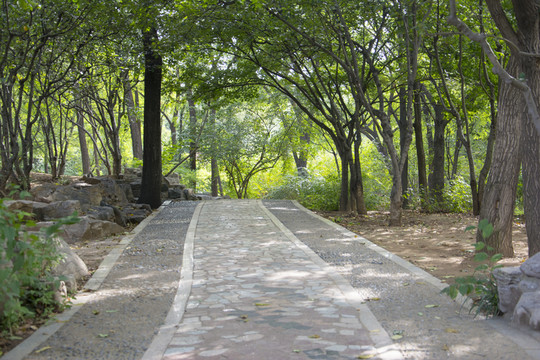 公園里用石頭鋪成的路