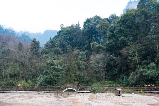 西溪濕地 棧道