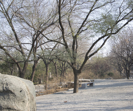 公園一角