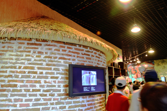 上海 世博園 展會 文化交流