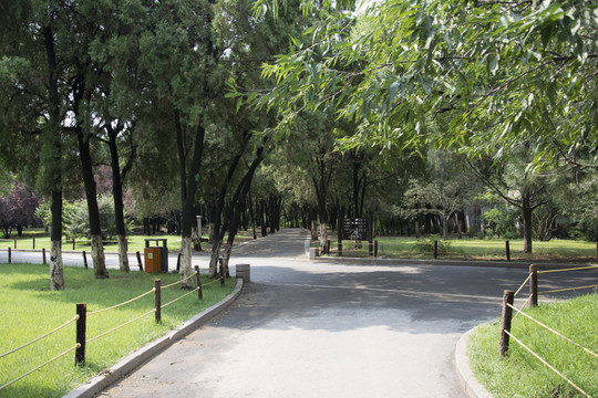 公園里的岔路