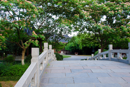小橋