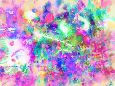 底紋 女裝 花紋 印花