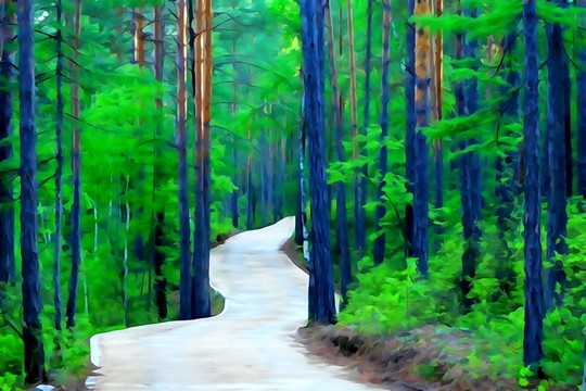 電腦水彩畫 林間小路