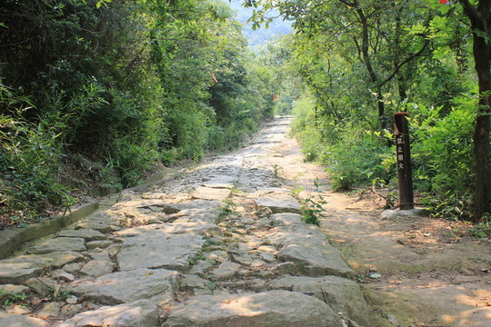 栲栳山