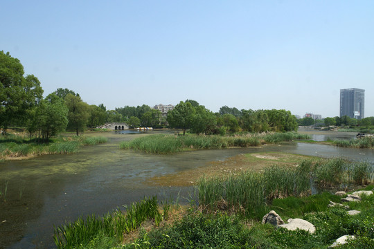 濕地公園風光