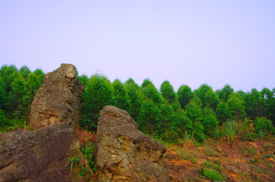 石頭
