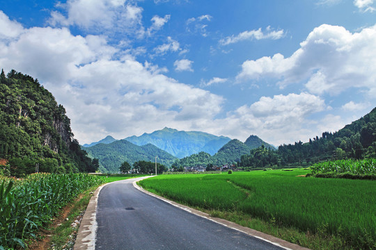 田園風(fēng)光