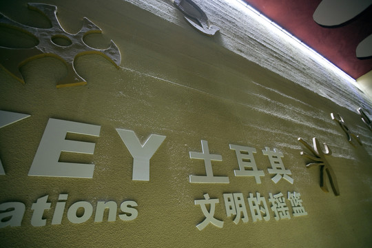 上海 世博園 展會 文化交流