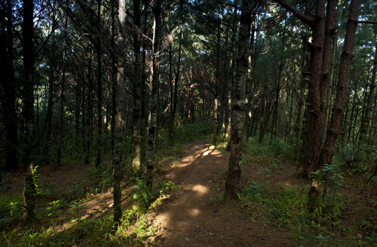 騰沖火山公園
