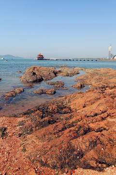 青島