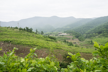 山村 農(nóng)田