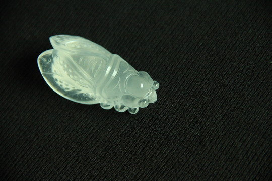 蟬 玉蟬