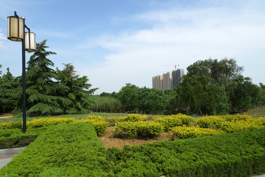 園林綠化帶 公園