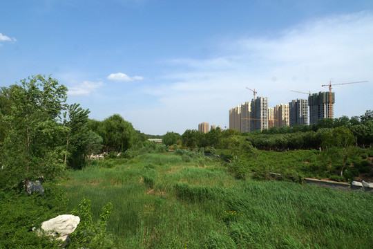 公園景觀