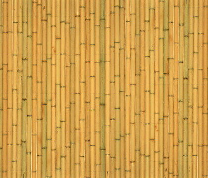 竹紋