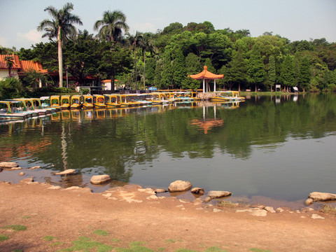 深圳仙湖植物園jpg高清