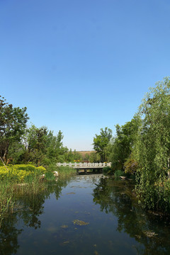 園林景觀綠化 公園