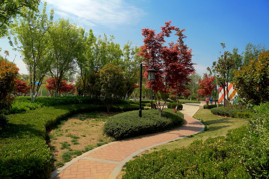園林景觀綠化 公園