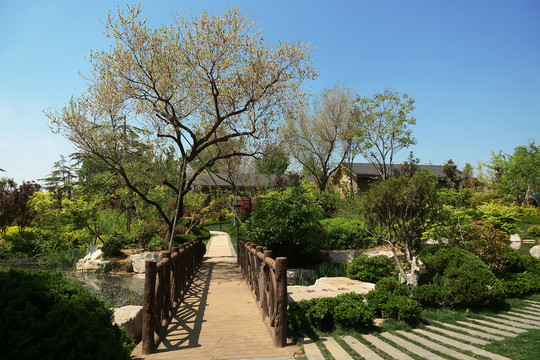 園林景觀綠化 公園