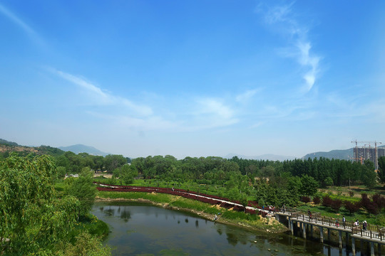 濕地公園風(fēng)光