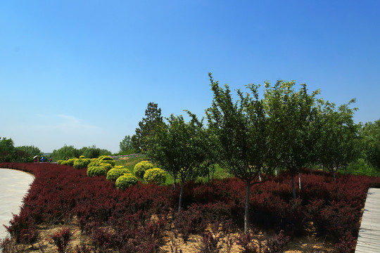 園林景觀綠化 公園