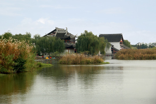 紅石民俗村蘆葦蕩
