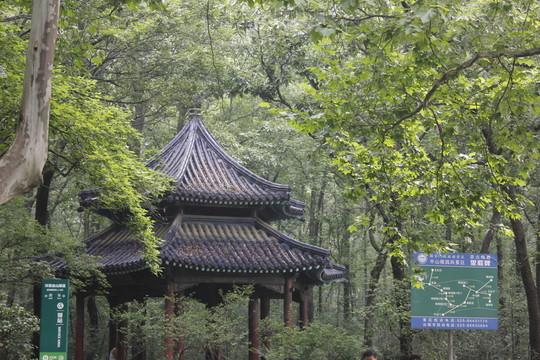 中山陵路邊的亭子