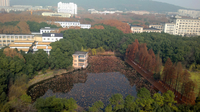 華中科技大學(xué)