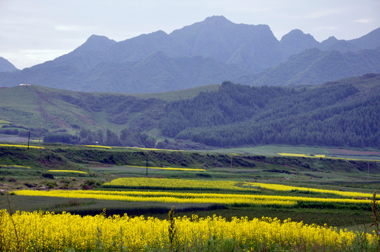 田園風(fēng)光