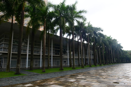 公園