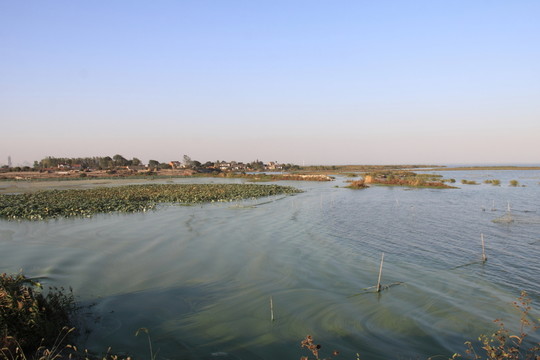巢湖岸邊
