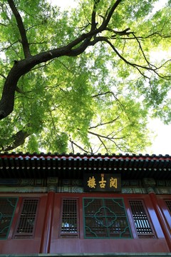 閱古樓