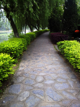 公園石磚小路