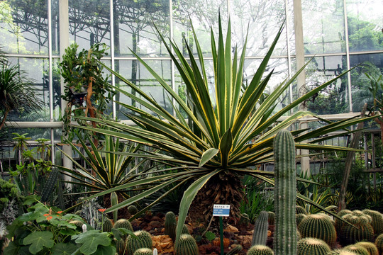 植物園