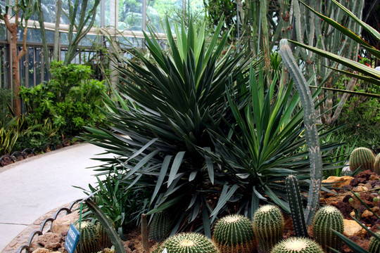 植物園