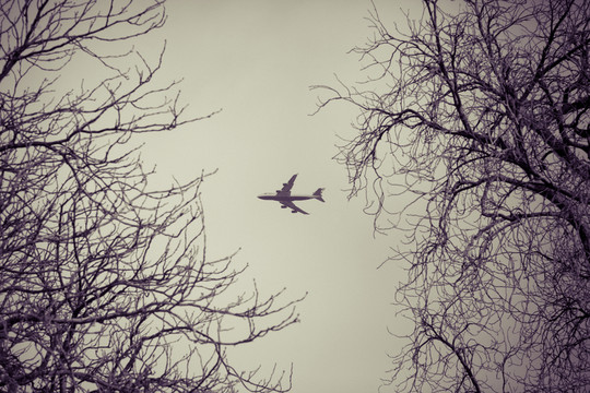 飛機