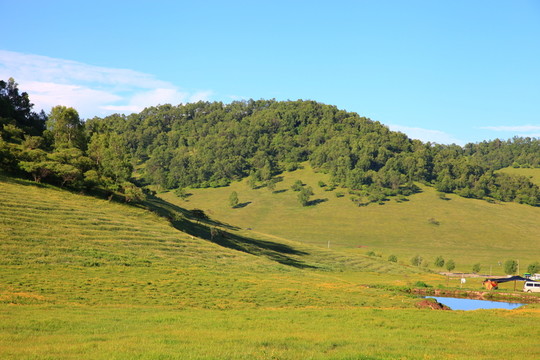 關(guān)山草原