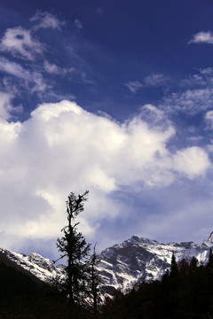 雪山